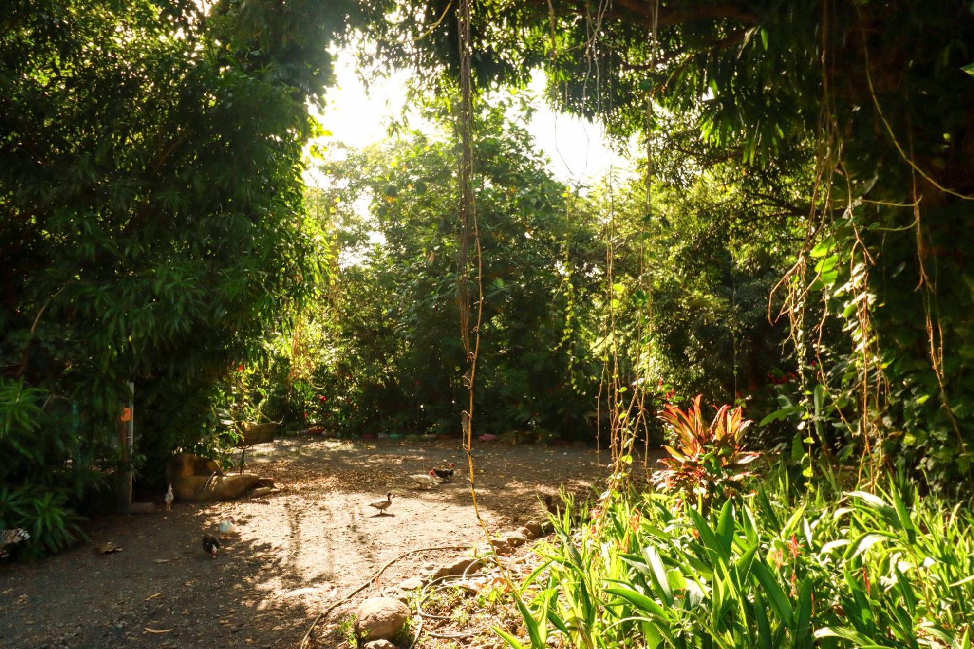 La Casa De Vida Natural Рио-Гранде Экстерьер фото